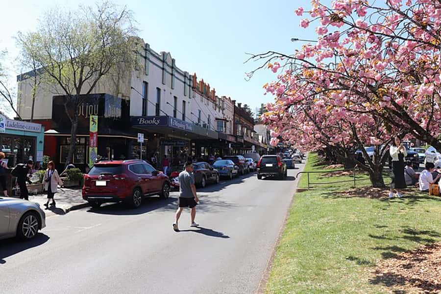 Blue Mountains: Private Tour with Wildlife and River Cruise - Katoomba Falls: a quick photo stop with just enough legwork