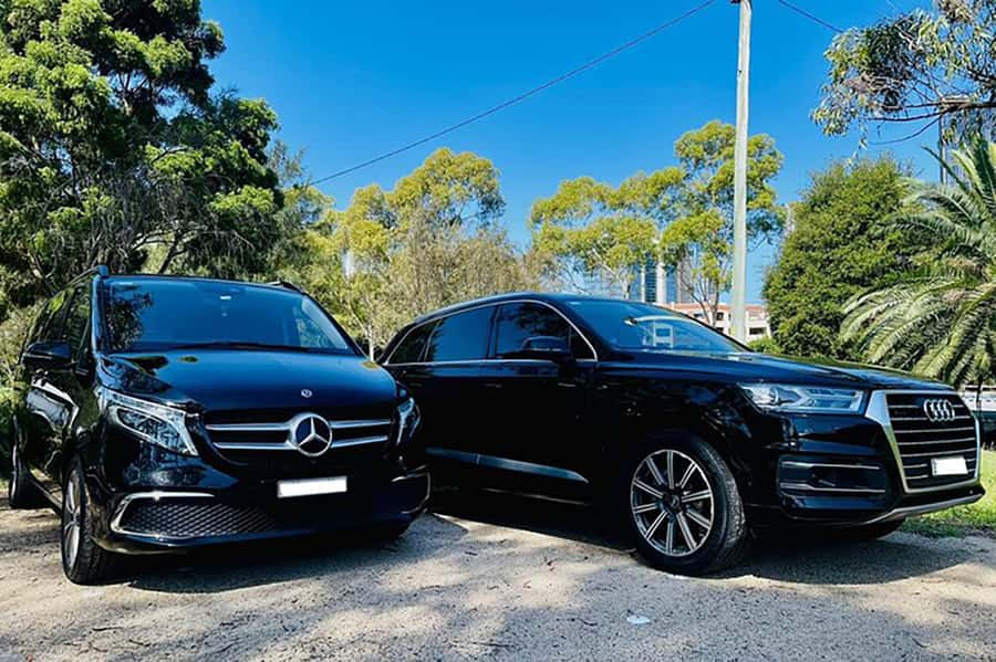 Blue Mountains: Private Tour with Wildlife and River Cruise - Private van logistics: pickup options and where you end the day
