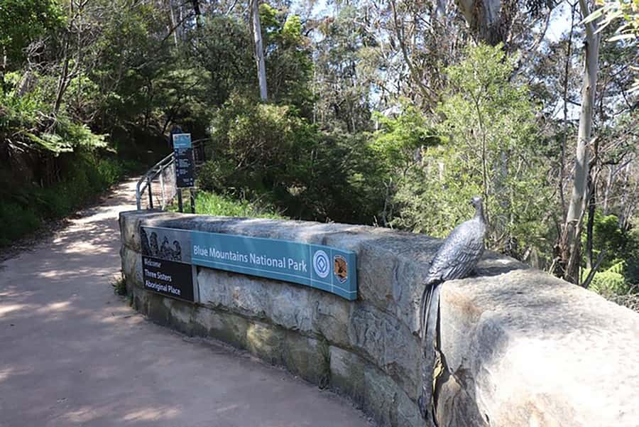 Blue Mountains: Private Tour with Wildlife and River Cruise - The guide experience: flexible pacing can be a win