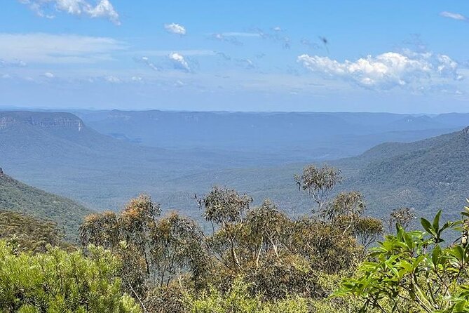 Blue Mountains Small Group Tour w/optional Scenic World & Lunch - Small-group touring with bilingual guides: what that means in practice