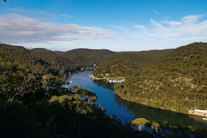 Blue Mountains Small Group Tour with Lunch, Zoo and Scenic World - Leura Lunch With a Drink: Where the Schedule Feels Like a Real Break