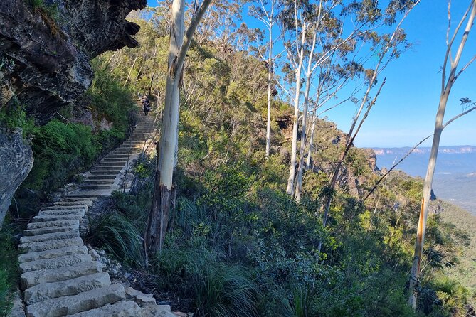 Blue Mountains Small Group Tour with Lunch, Zoo and Scenic World - The Three Sisters: Classic Views, Timed for Better Light