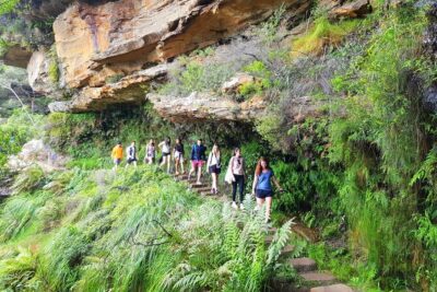 Blue Mountains Small Group Tour with Waterfall Walk & Fresh Lunch - Getting to the start at 812 George St, Haymarket without stress