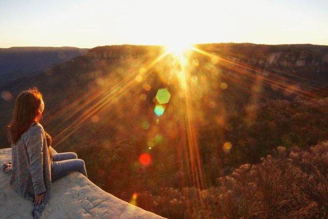 Blue Mountains Sunset Tour | See Kangaroos & Koalas (Private Tour) - Featherdale Wildlife Park: koalas and kangaroos before you head into the hills