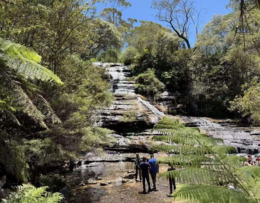 Blue Mountains Tour, Katoomba Falls & Cockatoos Small Group - Leaving Sydney in a Mercedes Sprinter (and why that matters)