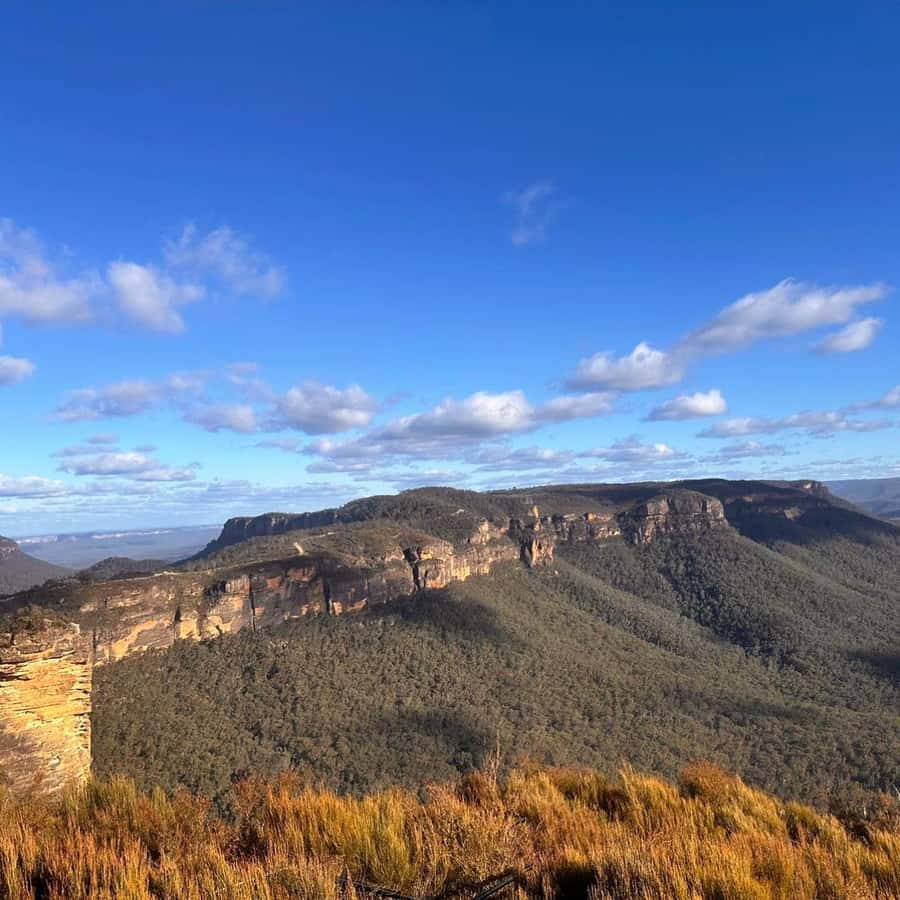 Blue Mountains Tour, Katoomba Falls & Cockatoos Small Group - Cahill’s Lookout and Boar’s Head Rock: quieter, wider views