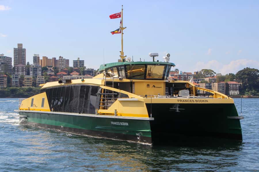 Blue Mountains Tour - Small grp, Koala, Kangaroo & Waterfall - Scenic World: cable cars, steep railway, and a choice that affects your whole day