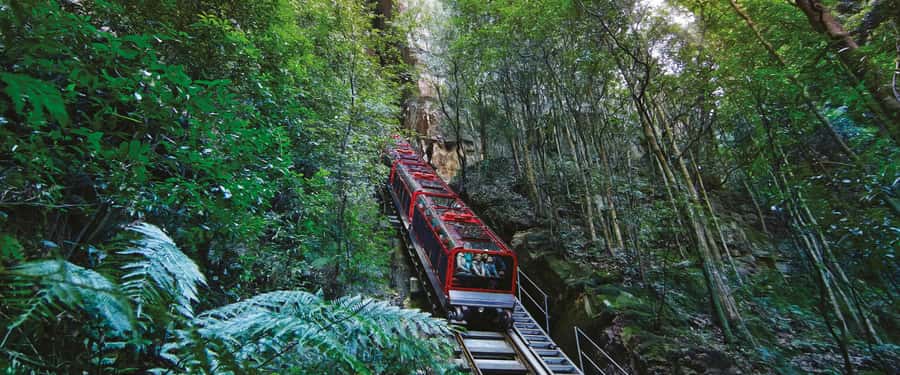 Blue Mountains Tour - Small grp, Koala, Kangaroo & Waterfall - Leura Village lunch: where you can eat without feeling rushed