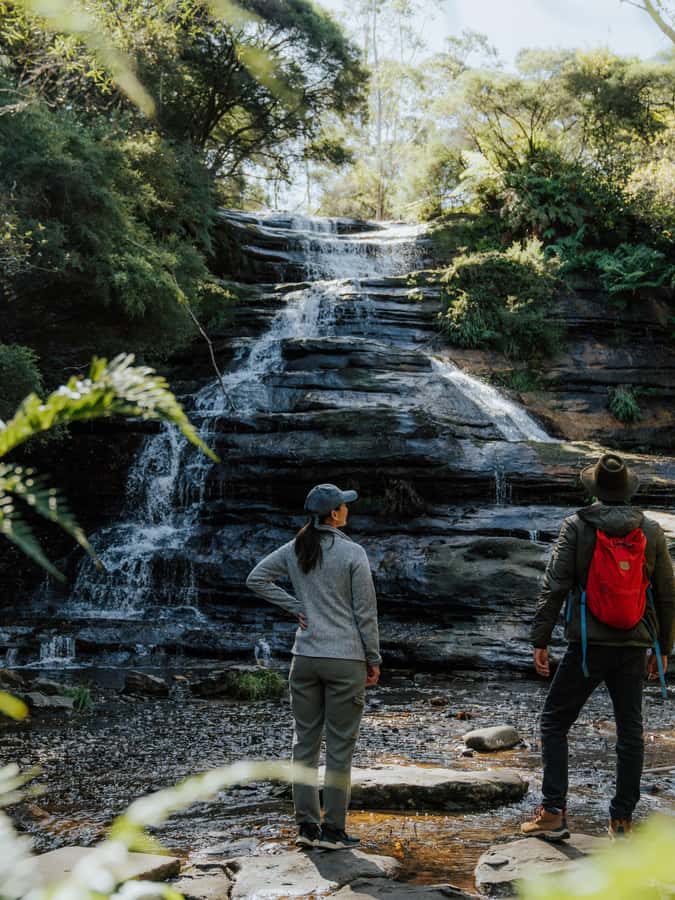 Blue Mountains Tour - Small grp, Koala, Kangaroo & Waterfall - The return that beats traffic: Parramatta River ferry ride