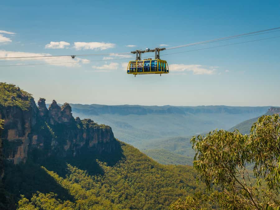 Blue Mountains Tour w/Lunch: Scenic World, Zoo & Koala Photo - Harbour Ferry Back to Circular Quay: A Different Kind of Sightseeing