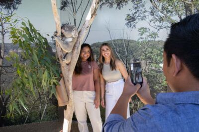 Blue Mountains Tour w/Lunch: Scenic World, Zoo & Koala Photo - Pickup From Multiple Sydney CBD Hotels and an 11-Hour “Do It All” Plan