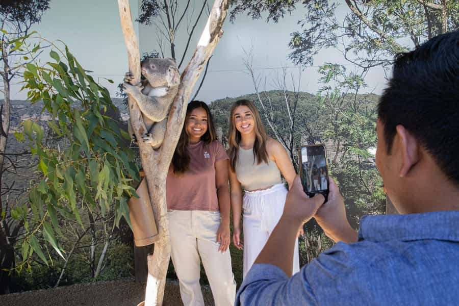 Blue Mountains Tour w/Lunch: Scenic World, Zoo & Koala Photo - Pickup From Multiple Sydney CBD Hotels and an 11-Hour “Do It All” Plan