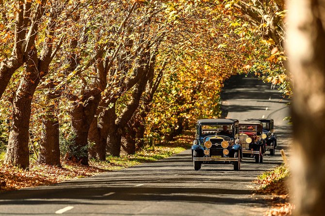 Blue Mountains Vintage Cadillac Tour with Local Guide - Leura Mall Stop: A Regal Roll-By That Sets the Tone