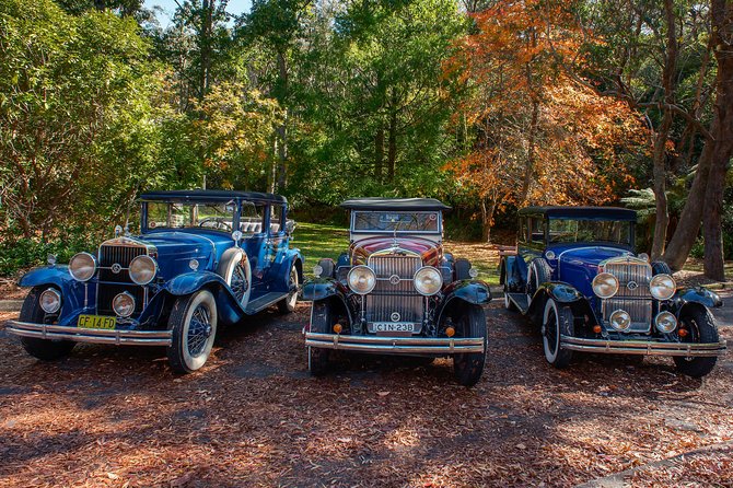 Blue Mountains Vintage Cadillac Tour with Local Guide - Leura Cascades: Waterfalls, Birds, and Two Chances to Enjoy Them