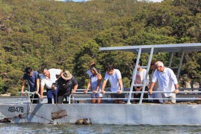 Broken Bay Pearl & Oyster Farm Tours - Your oyster-focused time: tasting local oysters with a river view