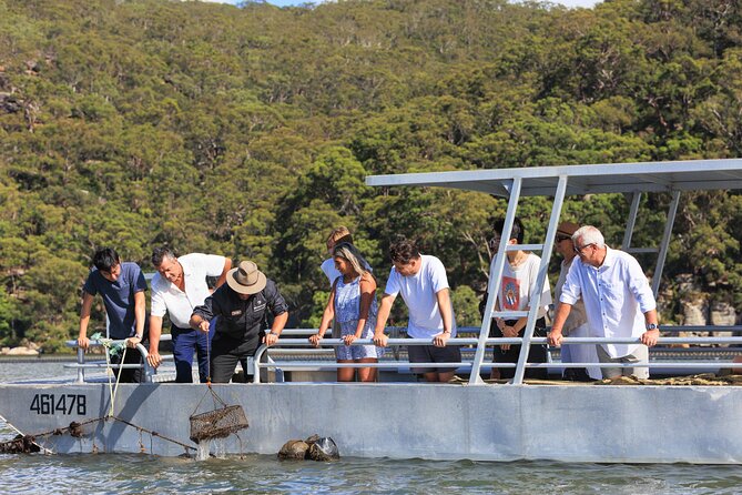 Broken Bay Pearl & Oyster Farm Tours - Your oyster-focused time: tasting local oysters with a river view