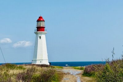 City Sights and Shoreline Tour - Pickup and Meeting Your Guide After Security