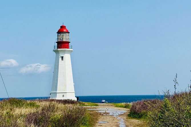 City Sights and Shoreline Tour - Pickup and Meeting Your Guide After Security
