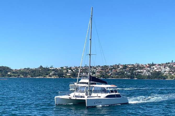 Dogs on Deck Harbour Cruise - Timing and weather: the 5:00 pm start is part of the plan