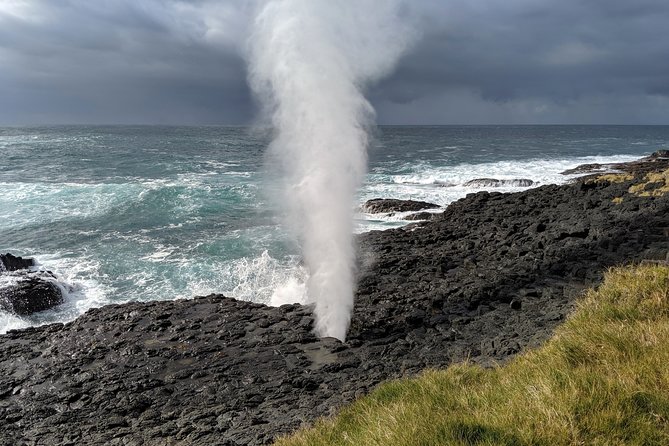 Erupting Blowholes and Ancient Rainforests SOUTH COAST OF SYDNEY PRIVATE TOUR - Key highlights you’ll care about