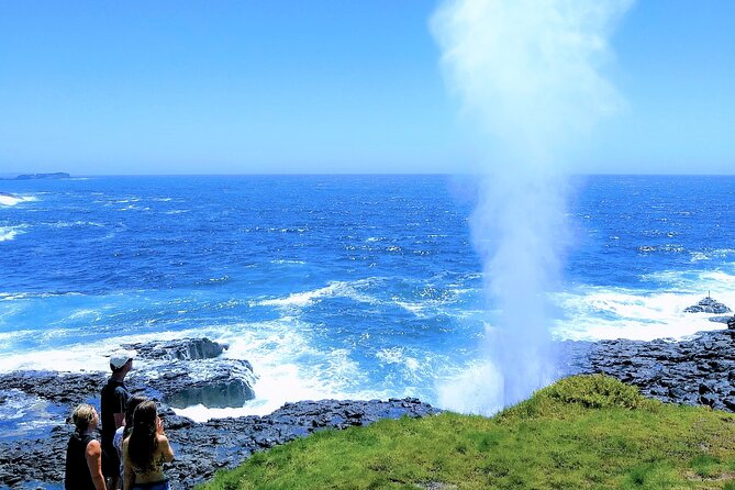 Erupting Blowholes and Ancient Rainforests SOUTH COAST OF SYDNEY PRIVATE TOUR - The value math: what you’re really paying for