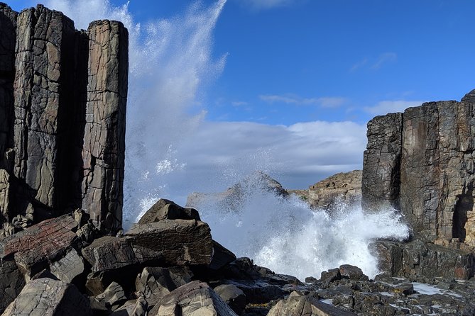 Erupting Blowholes and Ancient Rainforests SOUTH COAST OF SYDNEY PRIVATE TOUR - Killalea Regional Park: quick surf-country interest