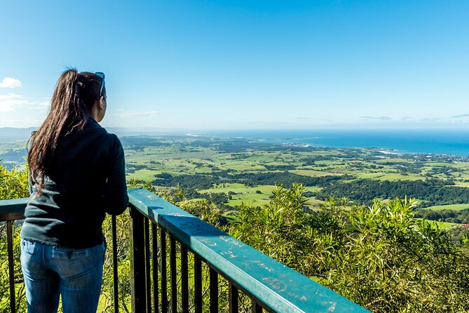 Escape Sydney: Sea Cliff Bridge, Wildlife, Kiama Coast Private - Saddleback Mountain lookout: 270-degree views for your main photo payoff