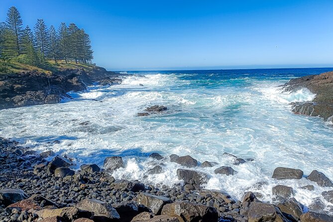 Escape Sydney: Sea Cliff Bridge, Wildlife, Kiama Coast Private - Jamberoo and Thirroul: farms, surfers, and rockpool time