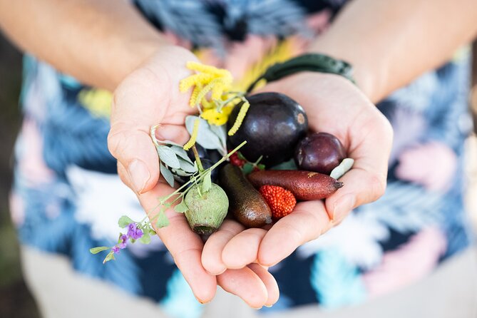 Foraging Tour: Botanical Gardens Walk & Picnic - Tasting bush fruits, herbs, and edible plants—how the sampling works