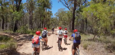 From Blue Mountains: Mountain e-Bike Ride, HANGING ROCK - How the Self-Guided Setup Actually Works