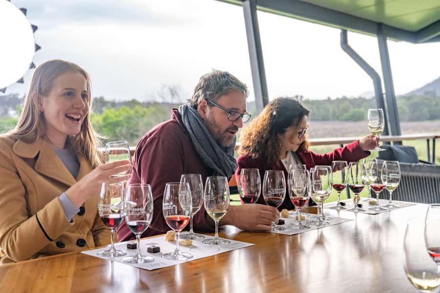 From Sydney: Award-Winning Hunter Valley Wine & Cheese Tour - Key moments worth planning for