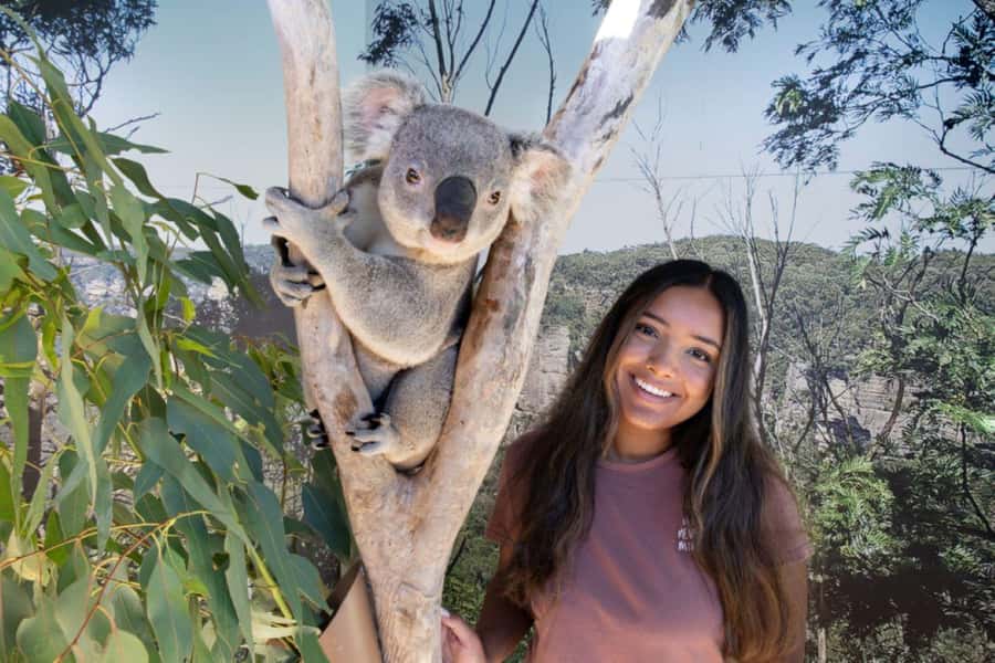 From Sydney: Blue Mountains Day Tour & Hop-on, Hop-off Tour - Sydney Zoo: Koalas, Kangaroos, and the Quick Win