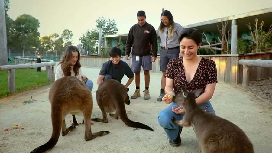 From Sydney: Blue Mountains Day Tour & Hop-on, Hop-off Tour - Scenic World Unlimited: Cable Car, Skyway, Railway