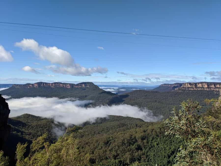 From Sydney: Blue Mountains Private Tour with Wildlife Park - Key Points at a Glance