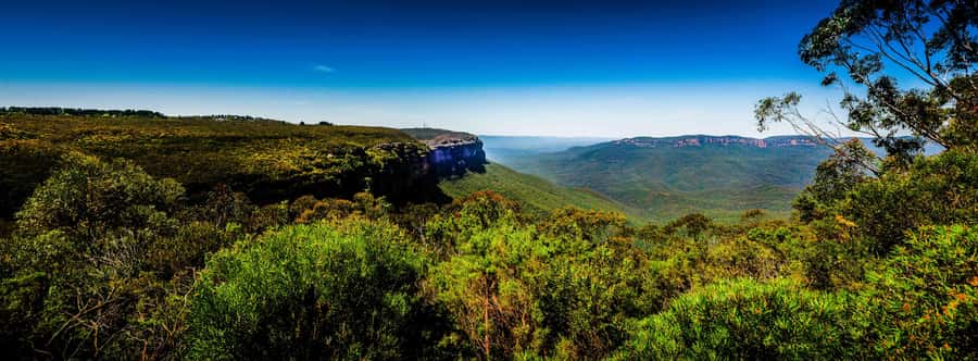 From Sydney: Blue Mountains Small-Group Tour Picnic & Hike - Jamison Valley and Eaglehawk Lookout: views with a little breathing room