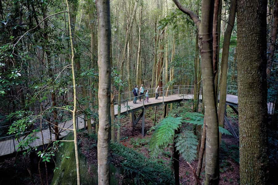 From Sydney: Blue Mountains, Sydney Zoo & Walking Tour - Echo Point and the Three Sisters View Over Jamison Valley