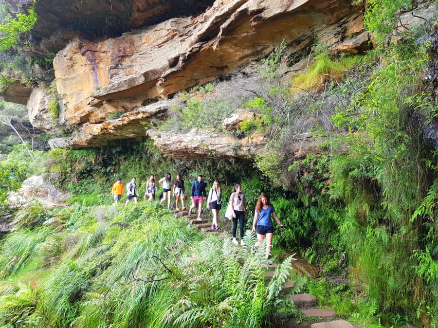 From Sydney: Blue Mountains Tour with Waterfall Walk & Lunch - Sydney meeting point and how to get there without stress