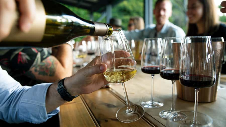 From Sydney: Full-Day Hunter Valley Tour w/ Tastings & Lunch - From Sydney to Hunter Valley: the day starts with real breathing room