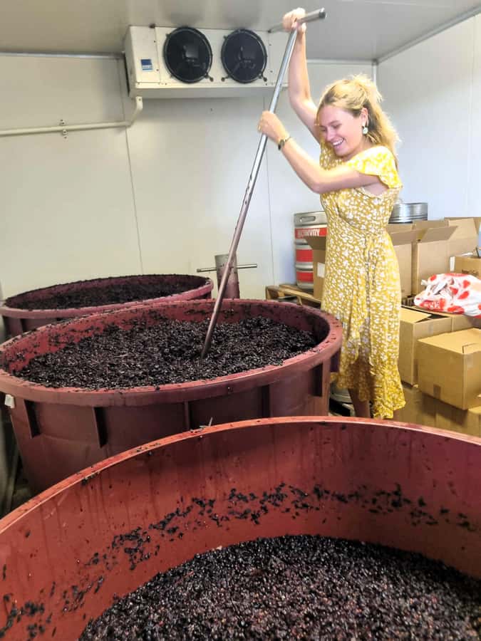 From Sydney: Hunter Valley Beer & Wine Group Tour - Why this Hunter Valley tour feels different from the big-bus version