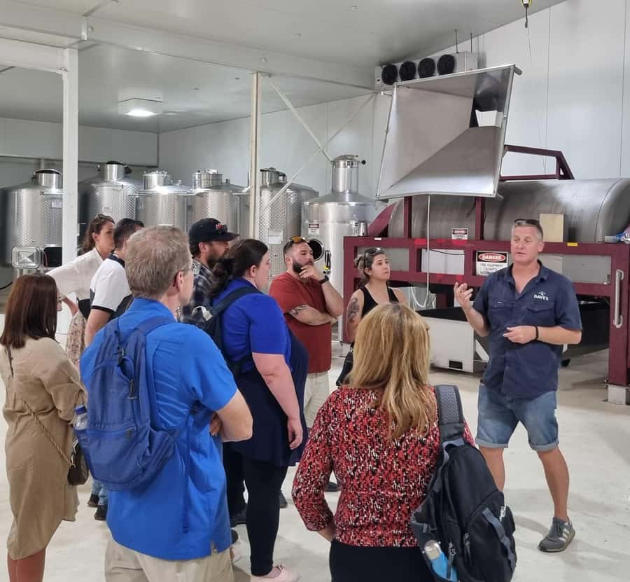 From Sydney: Hunter Valley Beer & Wine Group Tour - Lunch at the winery: a one-course meal with a real drink choice