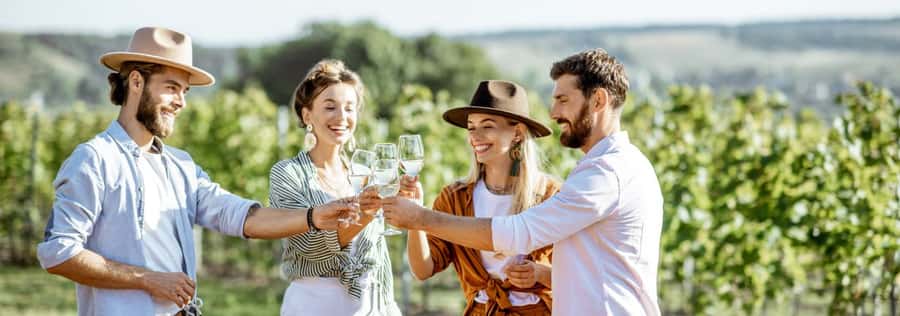 From Sydney: Luxury Hunter Valley Private Tour - Private luxury means you spend the day tasting, not figuring