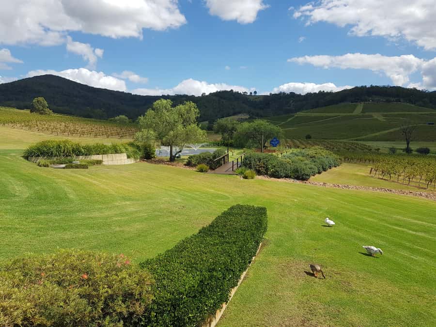 From Sydney: Luxury Hunter Valley Private Tour - Wollombi coffee and a first tasting: an easy on-ramp to wine country
