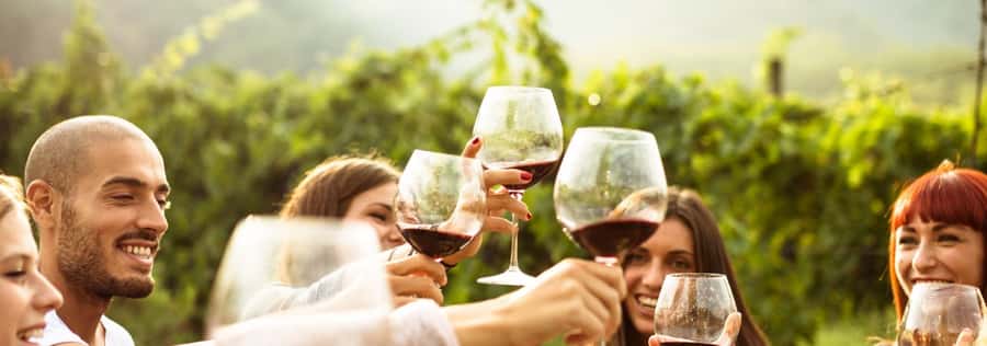From Sydney: Luxury Hunter Valley Private Tour - Hunter Valley Cheese Company: where your palate gets a real break