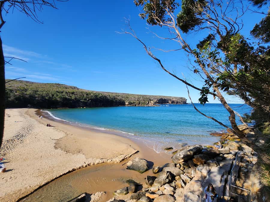 From Sydney: Royal National Park, Wollongong, and Kiama Tour - Wollongong beach time: coffee and a real lunch break