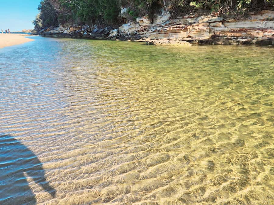 From Sydney: Royal National Park, Wollongong, and Kiama Tour - Timing, contact, and the one risk you should plan around