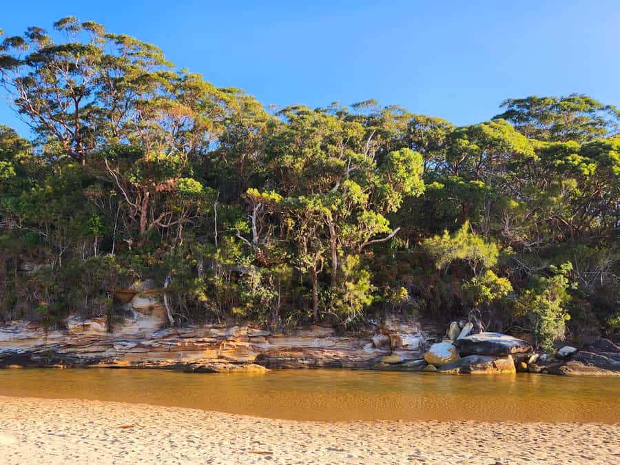 From Sydney: Royal National Park, Wollongong, and Kiama Tour - Before you go: what to pack and how to show up ready