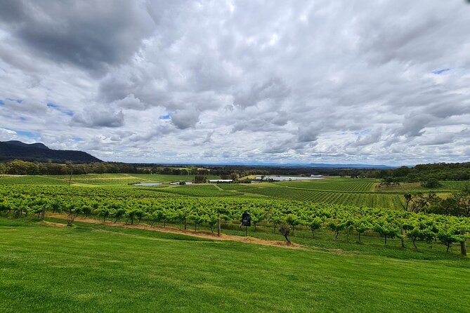 Full Day Private Wine Tour Exclusively Tailored To Suit You - Key Highlights You’ll Actually Feel During the Day