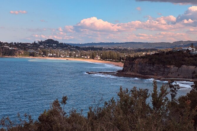 Golden Beaches and Ocean Vistas MANLY AND NORTHERN BEACHES PRIVATE TOUR - Manly Beach lunch time: using the break well instead of rushing