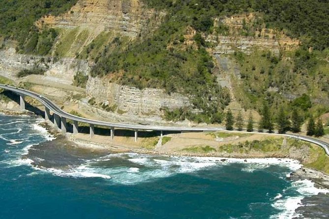 Grand Pacific Trike Tour - Royal National Park: Why This Part Matters Beyond the Scenery
