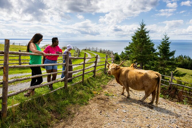 Guided Highland Village and Baddeck Bus Tour for Cruise Excursion - Price and Value: Is $129.91 Worth It?